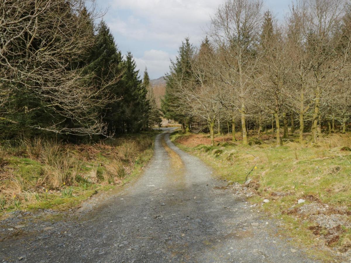 Brithgwm Canol Dolgellau Buitenkant foto